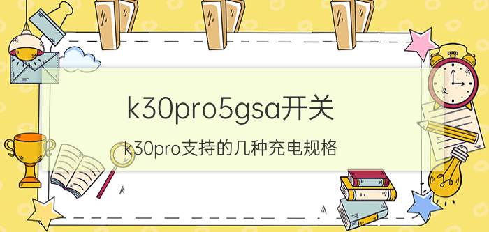 k30pro5gsa开关 k30pro支持的几种充电规格？